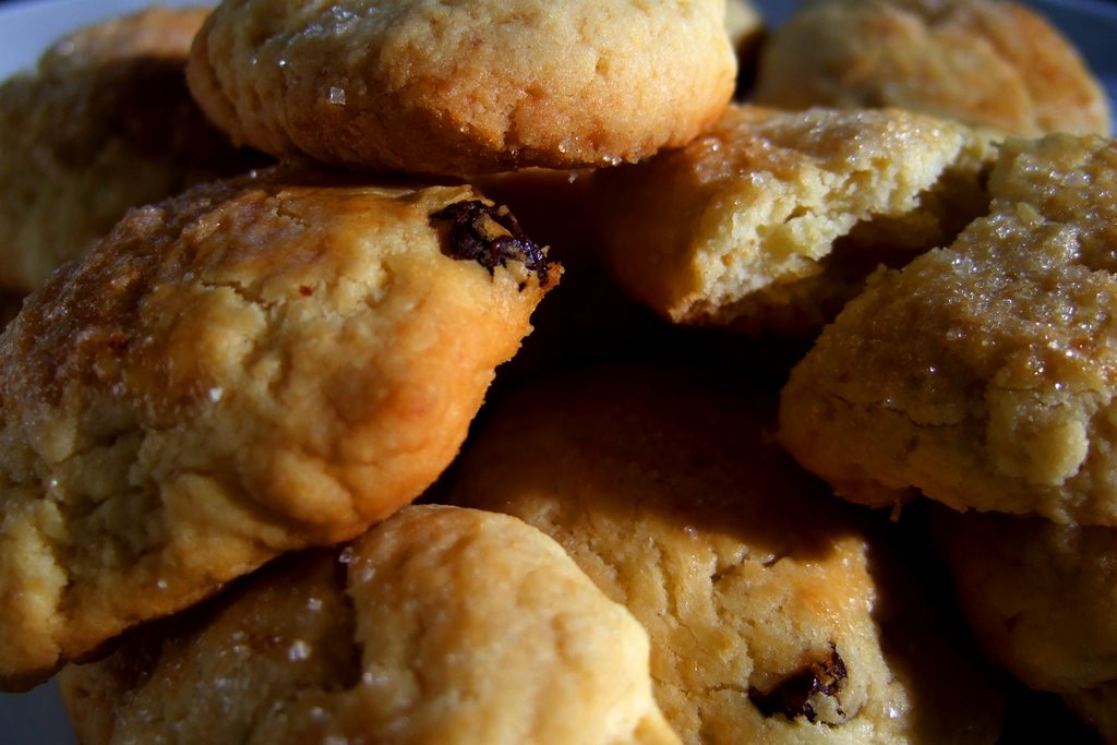  basic sugar cookie recipe